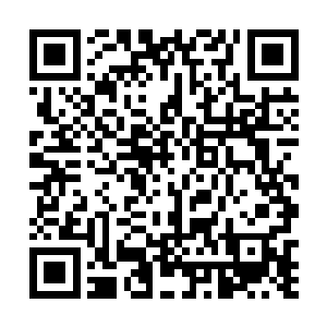 只见亚瑟的大手一挥顿时所有的人便朝着龙王冲了过去二维码生成