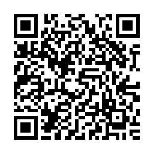 只见他两眼放光的看着身前的一堆符纸和其他杂七杂八的东西二维码生成