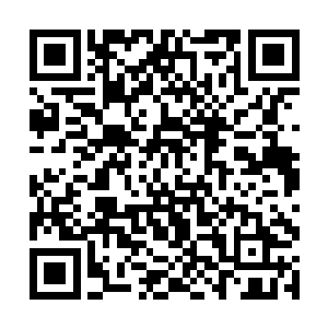 只见他原本一米七左右的身材呼的一下拔高到了两丈二维码生成