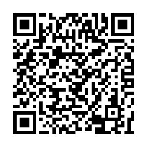 只见何仙与何江的胸膛瞬间就喷出了大量的鲜血二维码生成