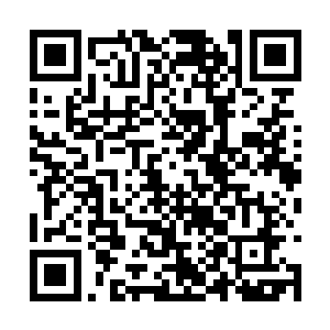 只见元辰夕这时已经完全长成了一个成年人的模样二维码生成