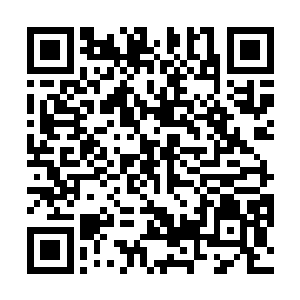 只见公孙家族的所有人都被一群黑衣人端着枪领了出来二维码生成
