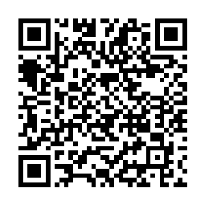 只见刚才还围在她身后的一众鬼修嗖嗖嗖地疾射而去二维码生成