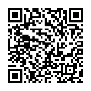 只见前头那位骄傲的俄罗斯富家公子阿努夫里正跟艾莉娜打招呼二维码生成