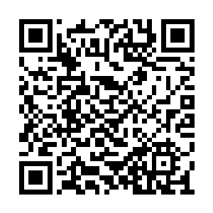 只见剩下的四名战神队员被龙麟全部缠在了一起二维码生成