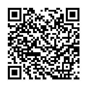 只见半截黑木一样的东西正静静的躺在我的手掌心二维码生成