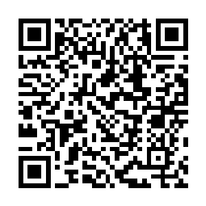 只见原本手臂与身躯上不明显的角质块状显得更加的坚韧二维码生成