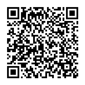 只见原本漆黑如墨的劫云此时在翻滚的过程之中竟然变成了一些血红色二维码生成