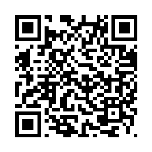 只见后山的山林的确如那小沙弥说二维码生成