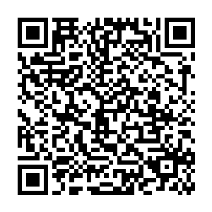 只见四个上前的士兵手还未沾到那塑料布就倒地抽了两下没了动静了二维码生成