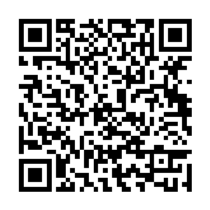 只见大批的执役武士显然已听到了动静正在冲过来二维码生成