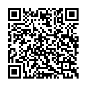 只见大门后面是一座用石头堆砌起来的巨大地宫二维码生成