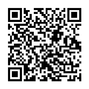 只见她雪白的肌肤因为兴奋而呈现出一种柔美的淡红色二维码生成