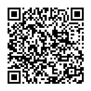 只见就在愤怒因为爱丽丝身上的异变和这小狐狸的出现而感到震惊和疑惑之时二维码生成