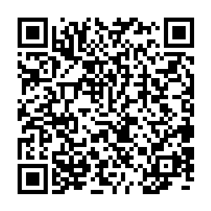 只见就在那些沙盗和冒险者因为前方那些魔化生物的全军覆没而心生忌惮二维码生成