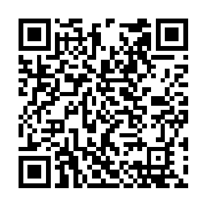 只见我面前那张牵引符依旧空荡荡的飘在半空之中二维码生成