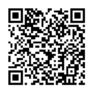 只见所有从卢家拉回来的尸体的眼睛都睁看着前方二维码生成