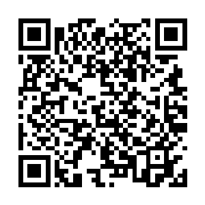 只见桌上的木盘里摆放着一只躺卧着的金黄sè肥羊二维码生成