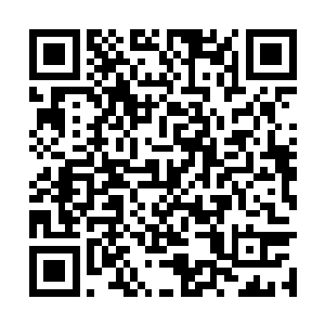 只见此刻的天羽再无当年六门之一天门的门主威严二维码生成