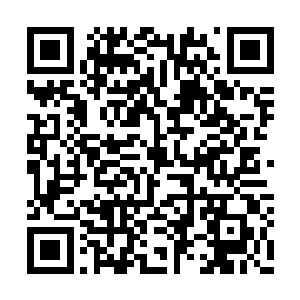 只见此刻的小黑正在着吴莹莹的面前不断嘶吼着二维码生成