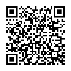 只见此刻的李耀仍旧是一条软哒哒拱来拱去的小蚯蚓模样二维码生成