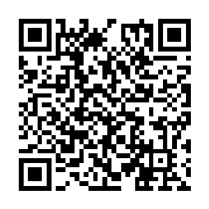 只见混元星辰宝树上面散发出一股玄妙的能量波动二维码生成