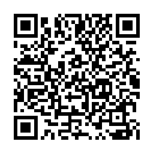 只见繁茂的林中突然钻出几头体型庞硕的岩蚁兽二维码生成