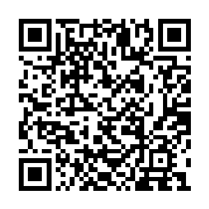 只见苏凡的身子顿时便朝着鬼王的位置窜了过去二维码生成