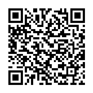 只见袁仕平十分认命的将铲子往挖出来的土边一插二维码生成