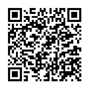 只见西海中敖历正领着大军一路追杀覆海宫大军二维码生成