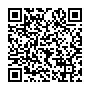 只见身体因为刚才跟碎石的摩擦已经变得血肉模糊二维码生成