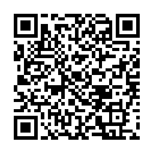 只见这附近的海底表面上都铺满了一层淡蓝色的岩石二维码生成