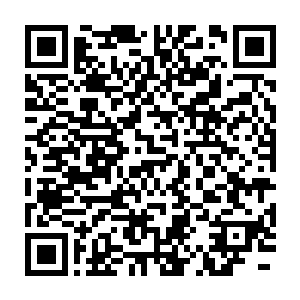 只见那些柳树条似乎吸着一些东西顺着柳条慢慢的朝树冠倒流而去二维码生成
