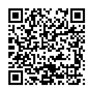 只见那厮和王宣恩都用叉子叉在那最后一块鹅肝酱三明治上二维码生成