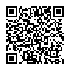 只见那只肥大的金甲虫突兀的出现在了他的面前二维码生成