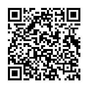 只见那围着洛离的幻魔宗修士一个个的化作血水二维码生成