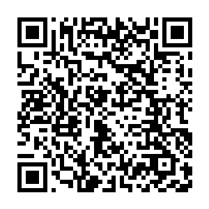 只见那满脸鲜血的茅山弟子僵硬的脸上此刻也是一脸古怪的看着我二维码生成