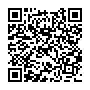 只见那诡异的虫子身上忽然间发出一道诡异的光芒二维码生成
