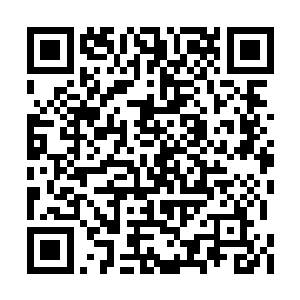 只见那边一个白白净净的小胖子从星市之中飞出二维码生成