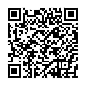 只见那边一只只巨兽居然莫名其妙地被轰飞起来二维码生成