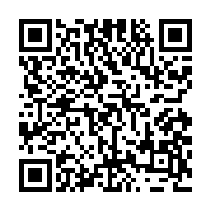 只见那阵法竟然在晶体爆炸的瞬间只支撑了一下就土崩瓦解二维码生成