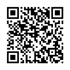 只见里面躺着一堆笼罩着紫色光晕的丹丸二维码生成