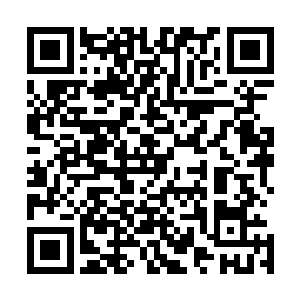 只见里面静静躺着两粒鲜红欲滴浮现着红色朦胧光晕的灵丹二维码生成