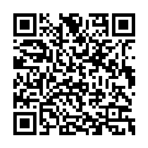 只见面前几乎像是薄纱一样细密的彩色光幕背后二维码生成