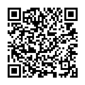 只见风清扬与那头受伤的妖狼正笑吟吟的站在一旁的大树下二维码生成