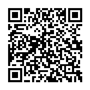 只觉站在自己面前的不是一具冷冰冰的金属骷髅二维码生成