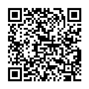 只说叶温柔闯关失败承受着巨大的天道反噬之力需要休息二维码生成