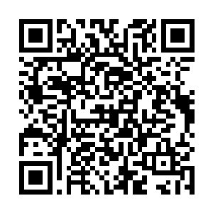 只针对韶管家和乐萍儿这本身就是一件十分奇怪的事情二维码生成