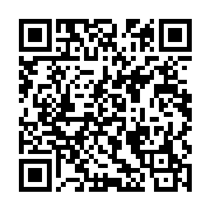 只需要两条碎小的金属齿咬合就能连接在一起的衣服二维码生成