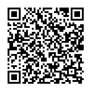 只需要在南疆的亿万大山之中找到一只可以让自己控制的强大魔兽异兽就可以了二维码生成